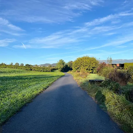 بيت ضيافة Rustico - Charming Countryside With Hill Views In Prosecco Zone - Free Parking